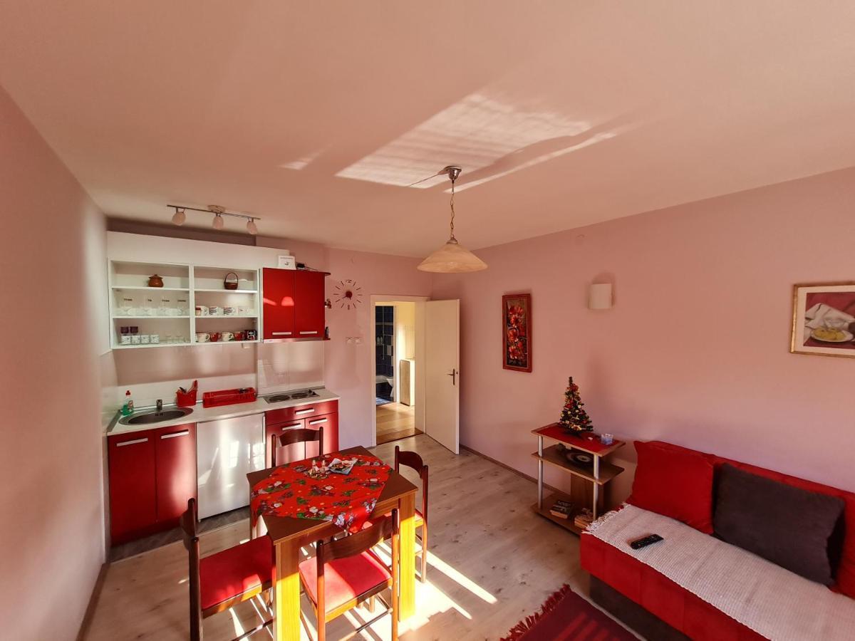 Apartman "Nina" Sokobanja Zewnętrze zdjęcie