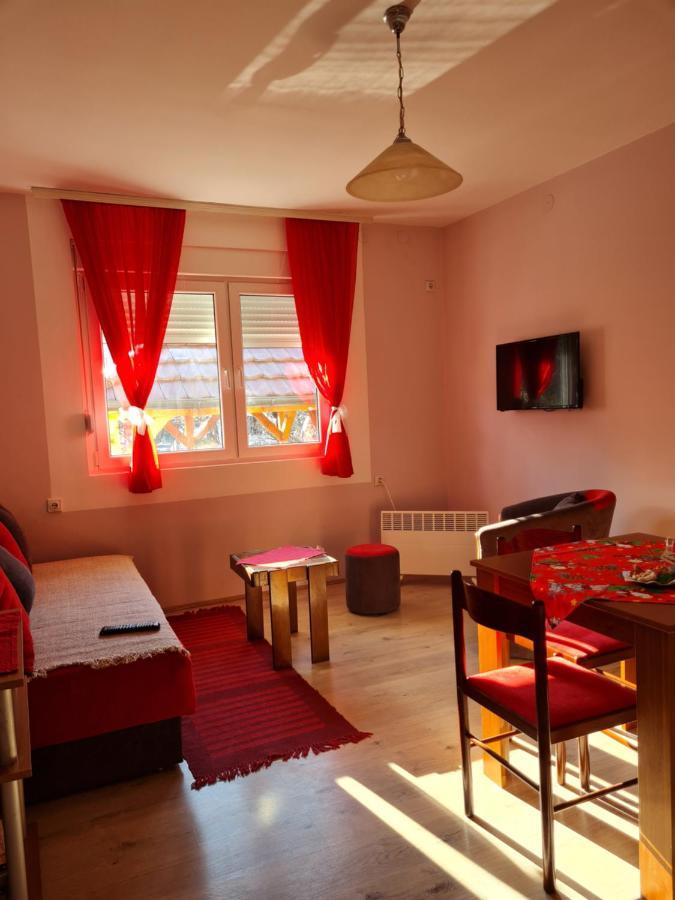 Apartman "Nina" Sokobanja Zewnętrze zdjęcie